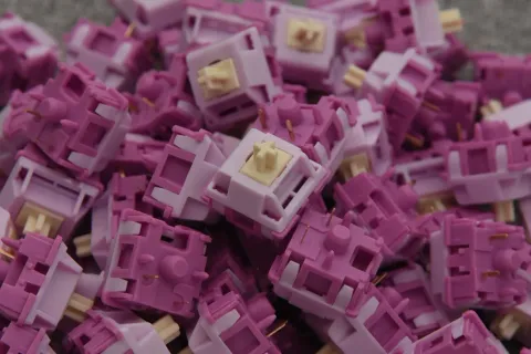 Mauve Crémeux Akko 2